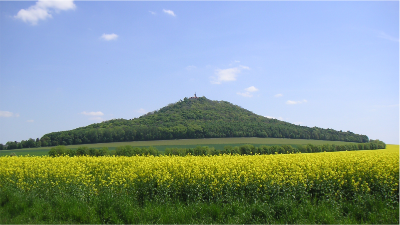 Spannende Pläne für die Landeskrone