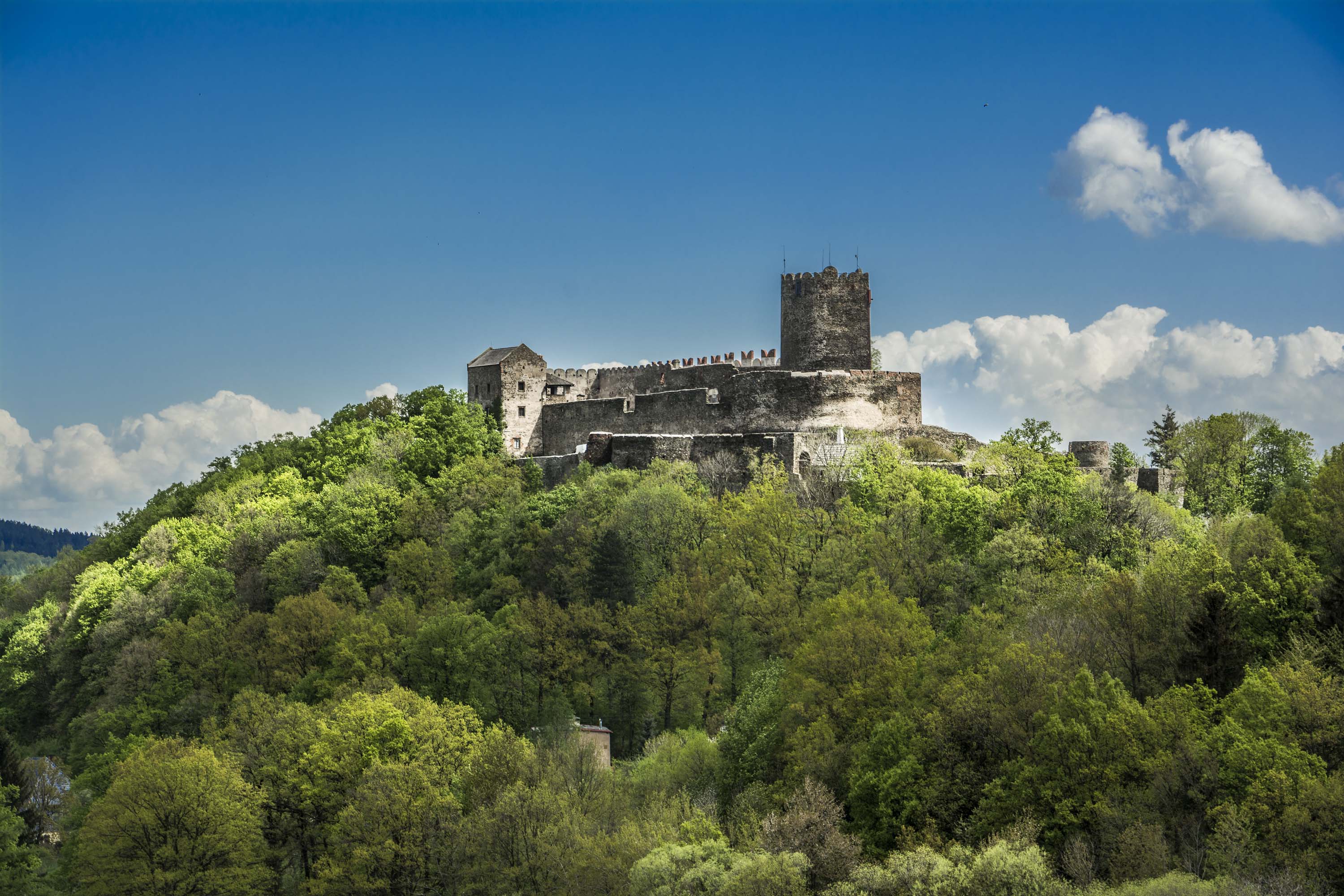 Spektakuläre Funde bei Ausgrabungen auf der Burg Bolkenhain (Bolkow)