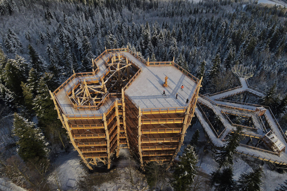 Erster Baumwipfelpfad in Schlesien eröffnet