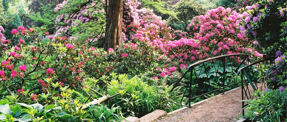 Arboretum in Eibendorf/Wojsławice ab 11. April wieder geöffnet