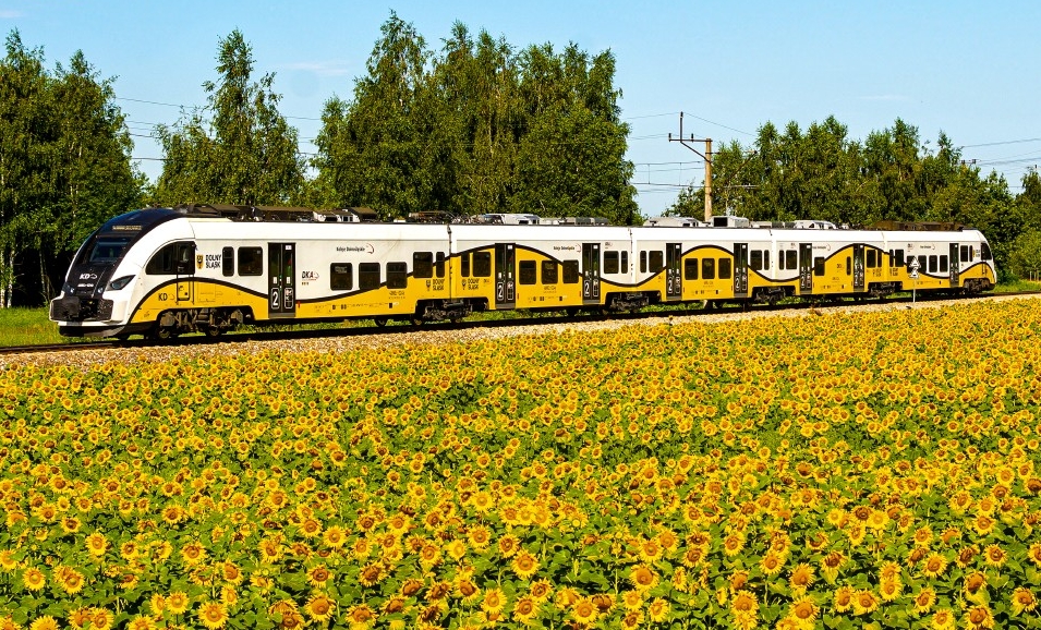 Neue Verbindungen und Sommerangebot der Niederschlesischen Bahn